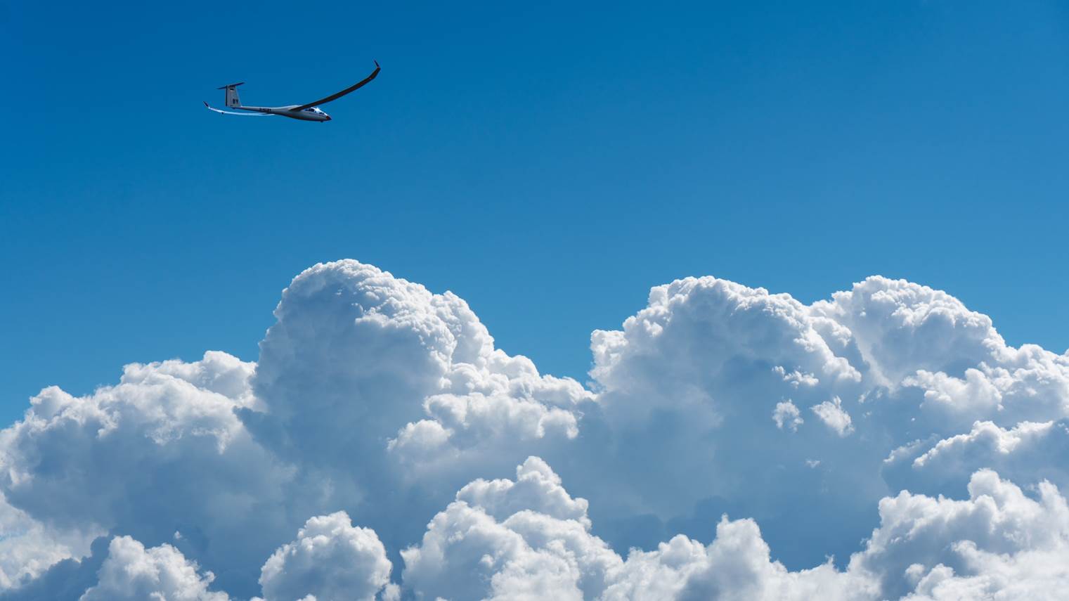 12   0822 c 162718 JLS8089 br 16-9 K1