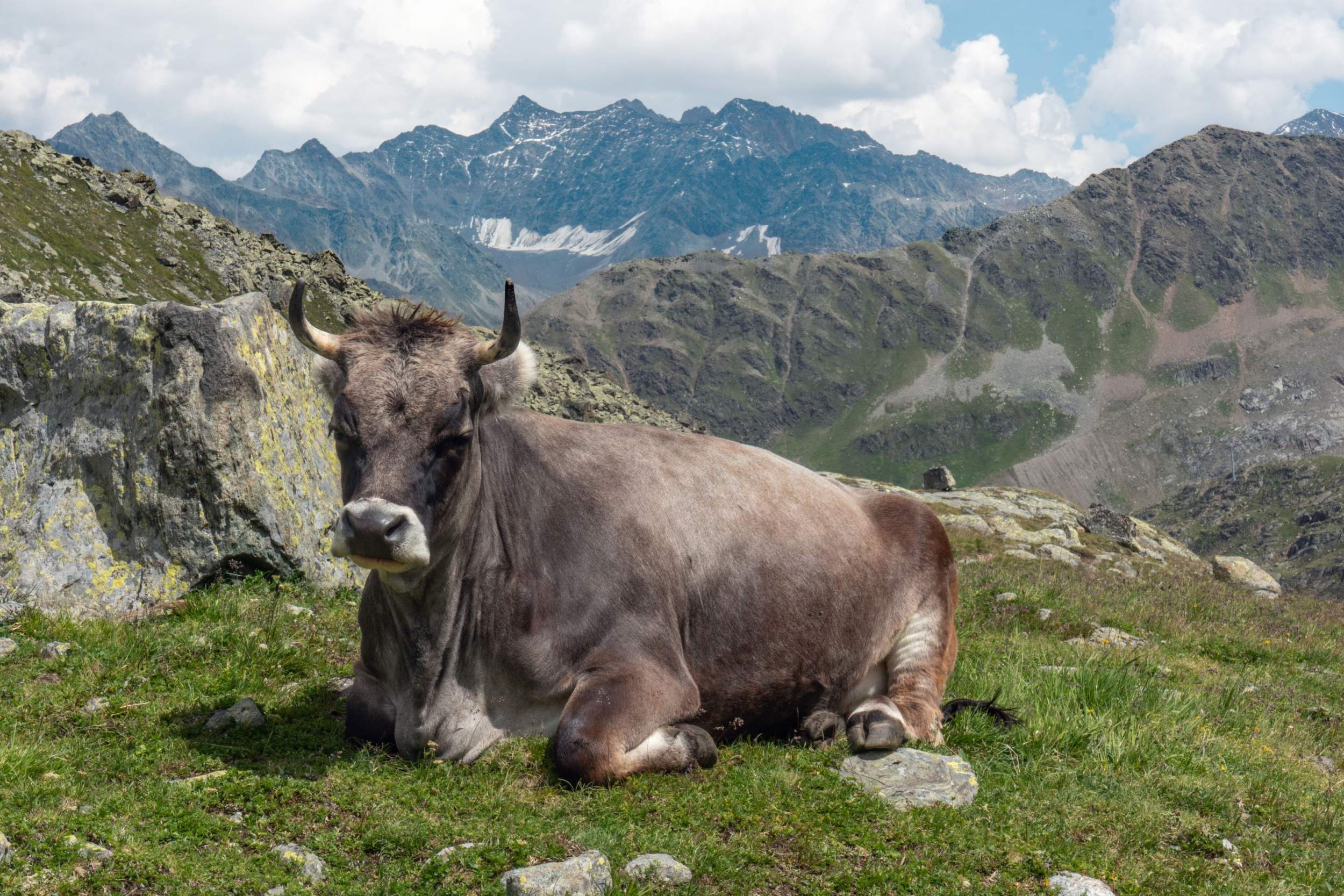 Kaunertal